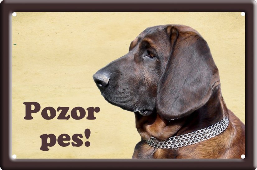 Hannoverský barvář tabulka 15x10 cm - Text tabulky: Pozor pes!