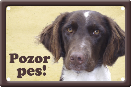 Münsterlandský ohař tabulka 15x10 cm - Text tabulky: Pozor pes!