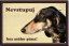 Persian Greyhound Saluki table 15x10 cm - Text tabulky: Nevstupuj bez mého pána!