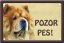 Čau-čau tabulka 15x10 cm - Text tabulky: Pozor pes!