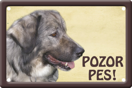 Caucasian Shepherd Dog table 15x10 cm - Text tabulky: Pozor pes!