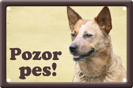 Australský honácký pes tabulka 15x10 cm - Text tabulky: Pozor pes!