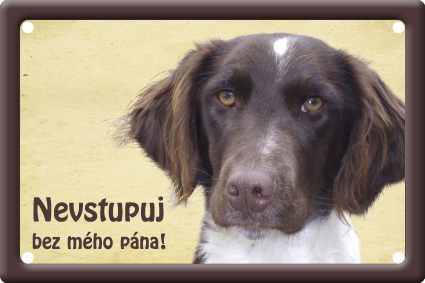 Münsterlandský ohař tabulka 15x10 cm - Text tabulky: Pozor pes!