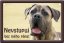 Cane Corso tabulka 15x10 cm