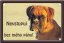 Boxer dog table 15x10 cm - Text tabulky: Pozor pes!