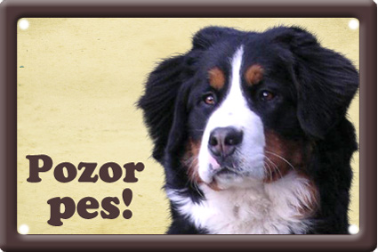 Bernský salašnický pes tabulka 15x10 cm - Text tabulky: Nevstupuj bez mého pána!