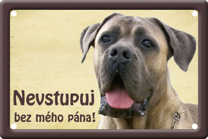 Cane Corso tabulka 15x10 cm - Text tabulky: Pozor pes!