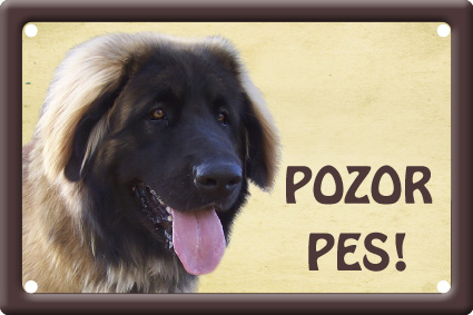 Leonberger tabulka 15x10 cm - Text tabulky: Pozor pes!