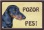 Jezevčík krátkosrstý tabulka 15x10 cm - Text tabulky: Pozor pes!