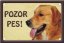 Zlatý retrívr tabulka 15x10 cm - Text tabulky: Pozor pes!