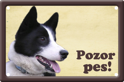 Karelian bear dog table 15x10 cm - Text tabulky: Pozor pes!