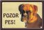 Boxer pes tabulka 15x10 cm - Text tabulky: Pozor pes!