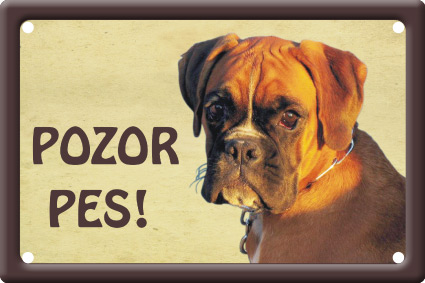 Boxer pes tabulka 15x10 cm - Text tabulky: Pozor pes!