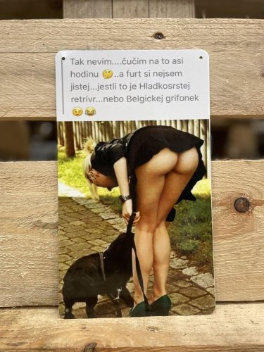 Plechová cedule "Žena"