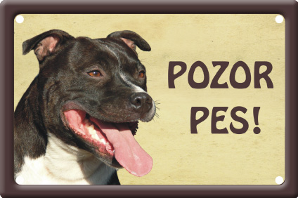 Stafordšírský teriér tabulka 15x10 cm - Text tabulky: Pozor pes!