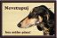 Perský chrt Saluki tabulka 15x10 cm
