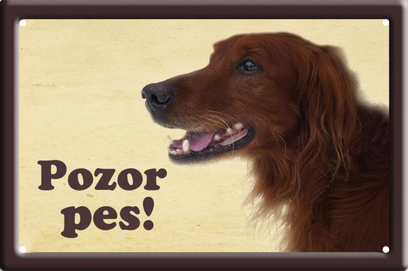 Irský setr tabulka 15x10 cm