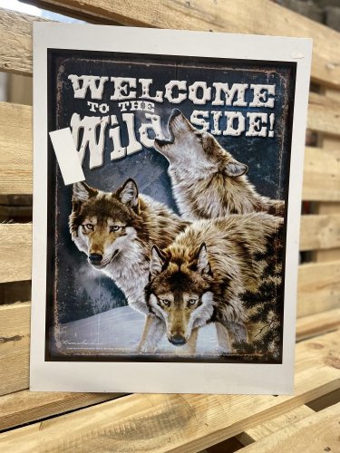 Plechová cedule "Wild"