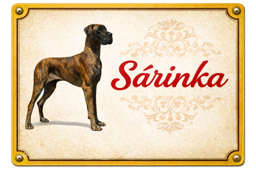 Cedule z Vaší fotografie - Rozměr: 10x15 cm