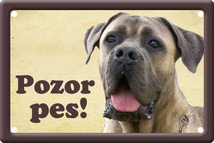 Cane Corso tabulka 15x10 cm - Text tabulky: Pozor pes!