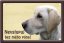 Labrador tabulka 15x10 cm - Text tabulky: Pozor pes!