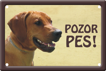 Rhodéský ridgeback tabulka 15x10 cm - Text tabulky: Nevstupuj bez mého pána!