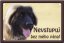 Leonberger tabulka 15x10 cm - Text tabulky: Pozor pes!