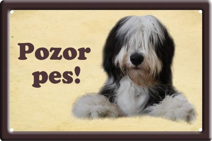 Bearded kolie tabulka 15x10 cm - Text tabulky: Nevstupuj bez mého pána!