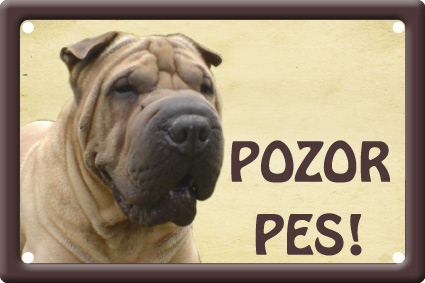 Šarpej tabulka 15x10 cm - Text tabulky: Nevstupuj bez mého pána!