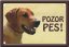 Rhodéský ridgeback tabulka 15x10 cm - Text tabulky: Pozor pes!