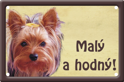 Jorkšírský teriér tabulka 15x10 cm - Text tabulky: Malý a hodný!