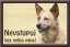 Australský honácký pes tabulka 15x10 cm - Text tabulky: Nevstupuj bez mého pána!