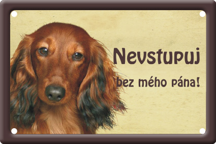 Jezevčík dlouhosrstý tabulka 15x10 cm - Text tabulky: Nevstupuj bez mého pána!
